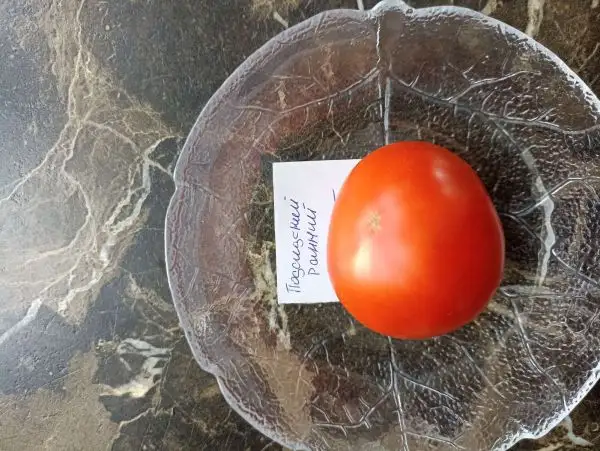 Tomaten: Podsinskij rannij