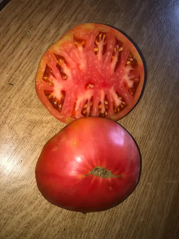 Tomaten: Podushka Pink