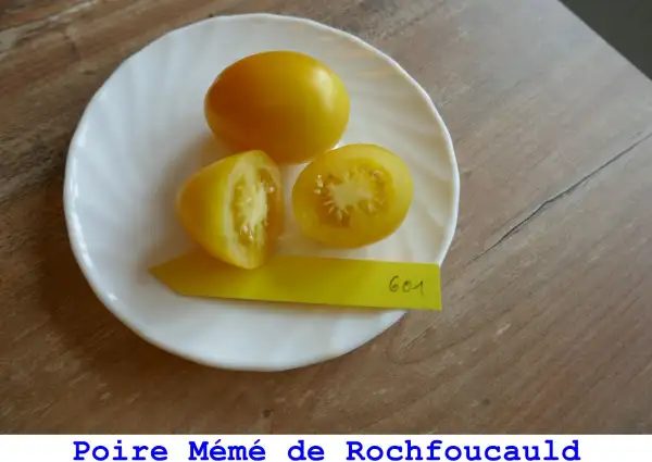 Tomaten: Poire Mémé de Rochfoucauld