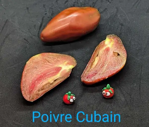 Tomaten: Poivre Cubain