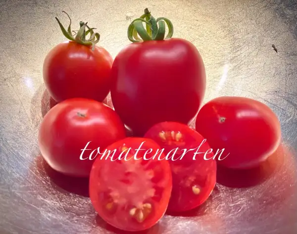 Tomaten: Polar Baby