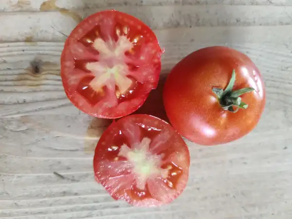 Tomaten: Polar beauty