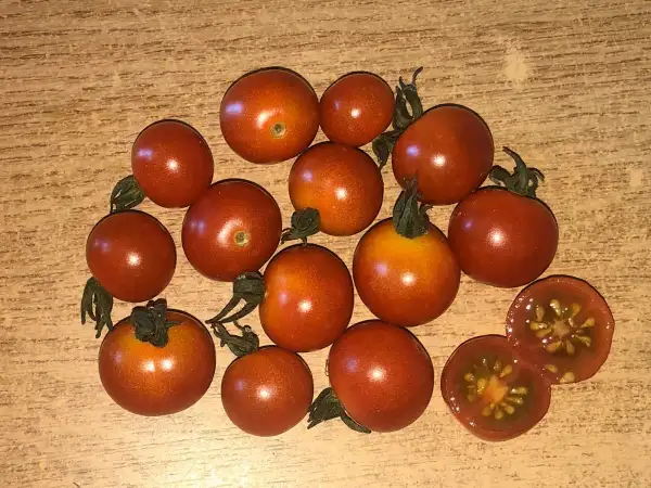 Tomaten: Police