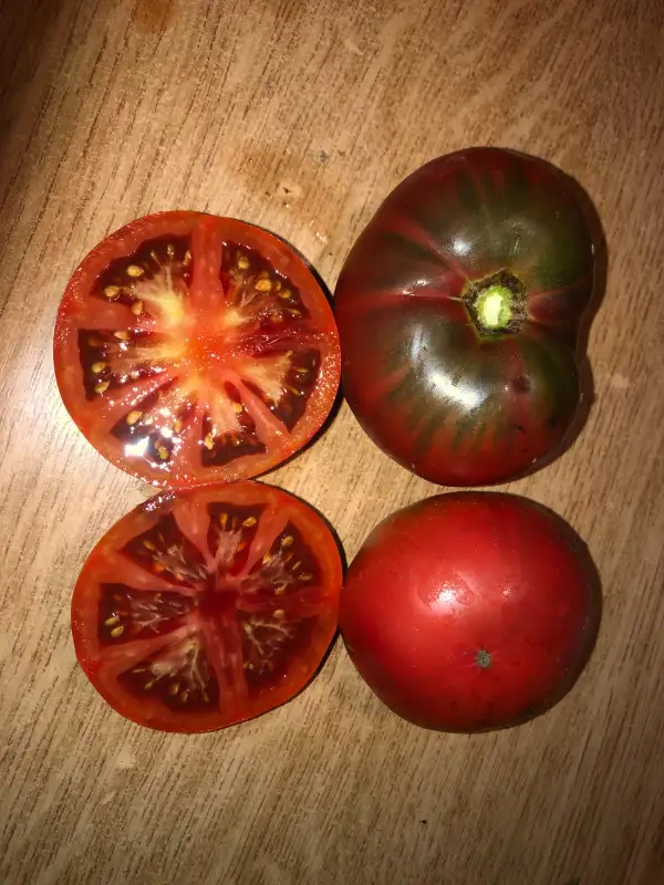 Tomaten: Polish Nights