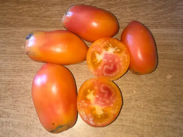 Tomaten: Polish Pastel