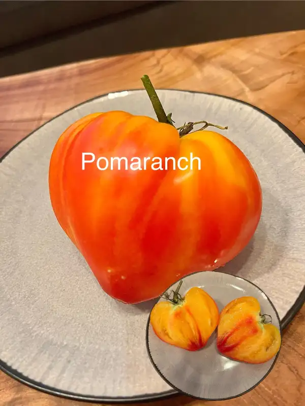 Tomaten: Pomaranch