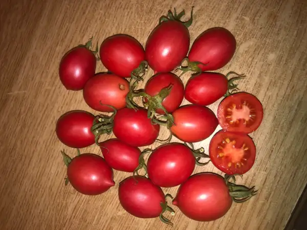 Tomaten: Pomme d