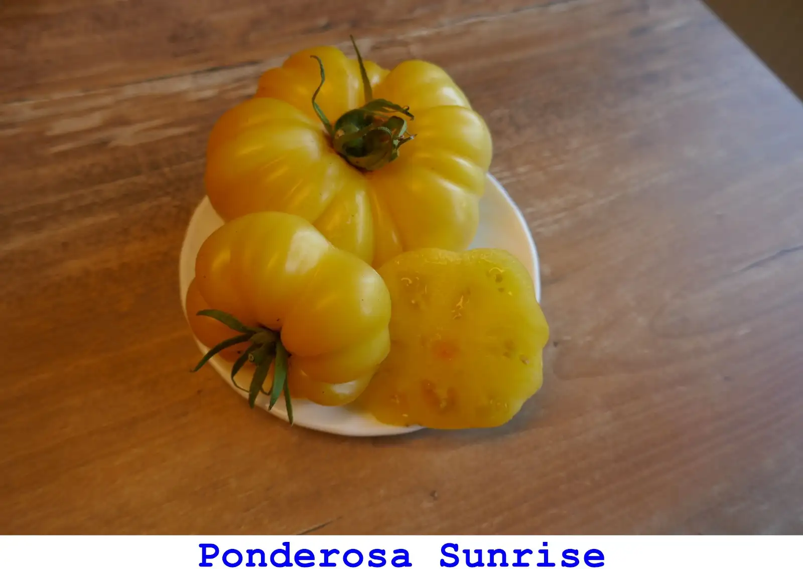 Tomaten: Ponderosa Sunrise
