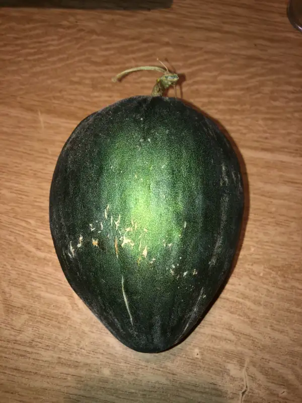 Obst: Porceddu di Alcamo melone