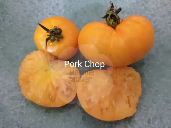 Tomaten: Pork Chop