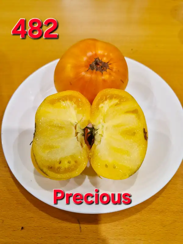 Tomaten: Precious