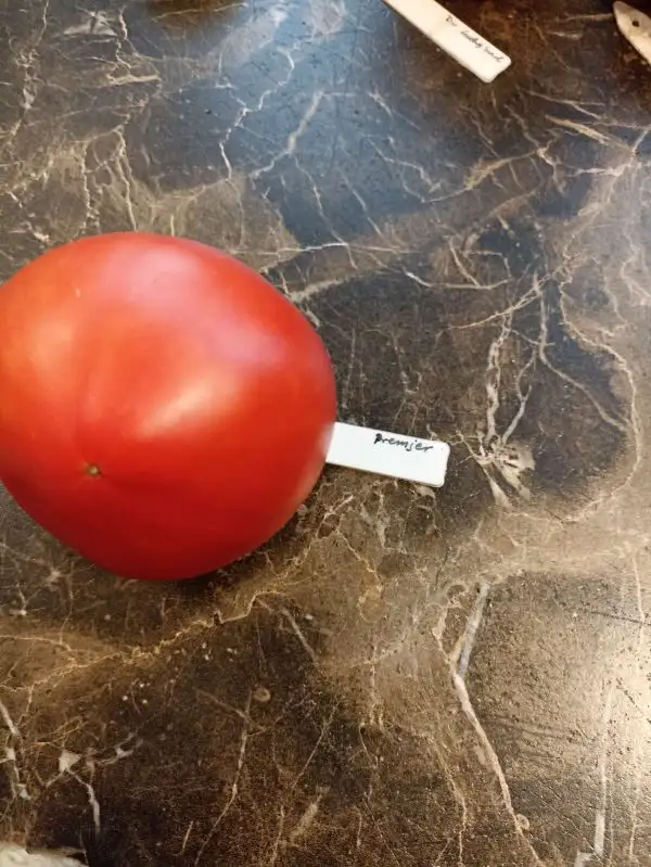 Tomaten: Premjer