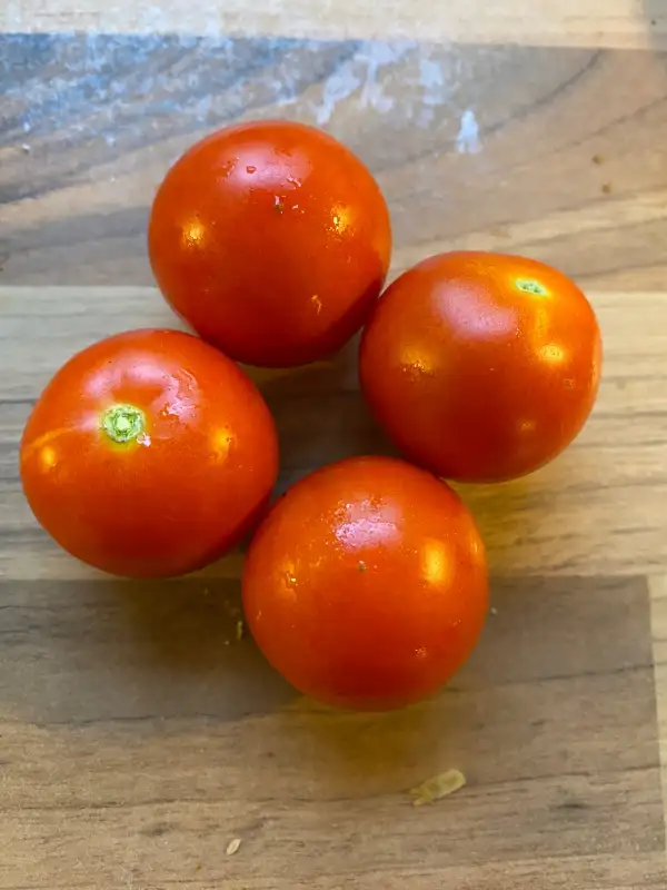 Tomaten: Primabell Microdwarft