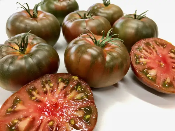 Tomaten: Primora