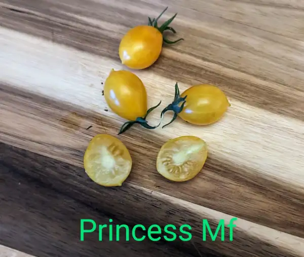 Tomaten: Princess