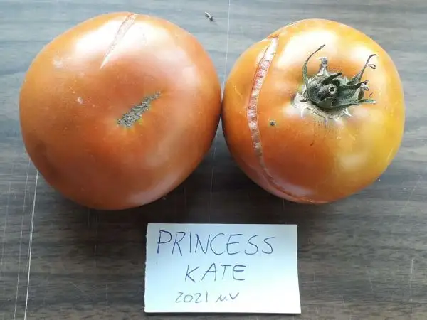 Tomaten: Princess Kate