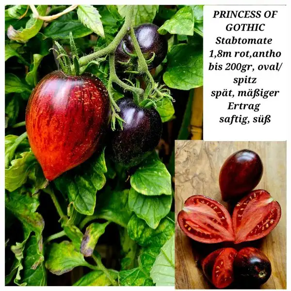 Tomaten: Princess of Gothic