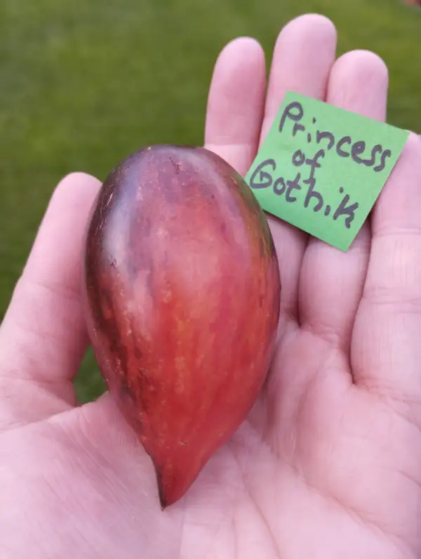 Tomaten: Princess of Gothik