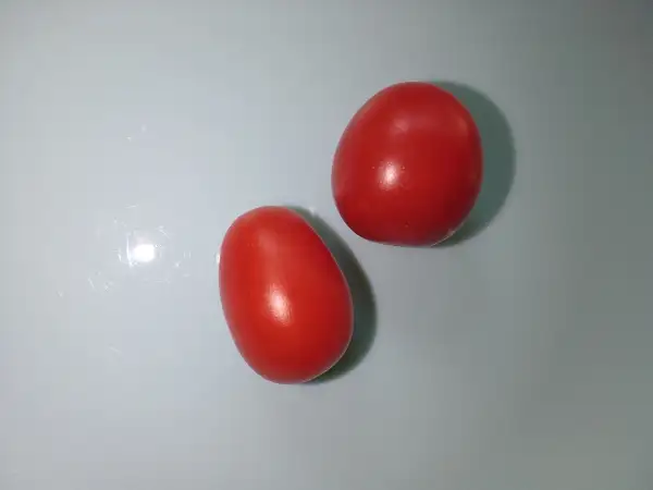 Tomaten: Principe Borghese- buschig wachsend- sehr resistent- meine Lieblingssorte fürs Freiland