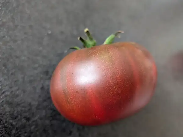 Tomaten: Prinz Tschernij