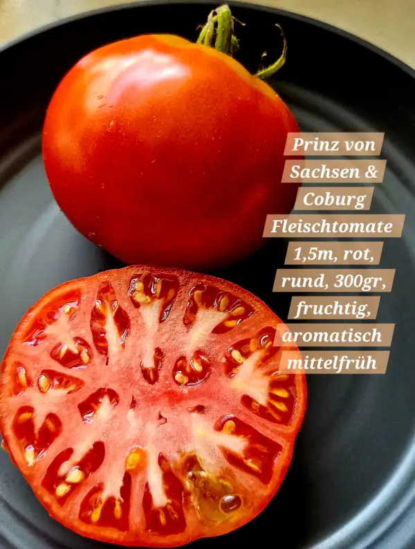 Tomaten: Prinz Von Sachsen & Coburg