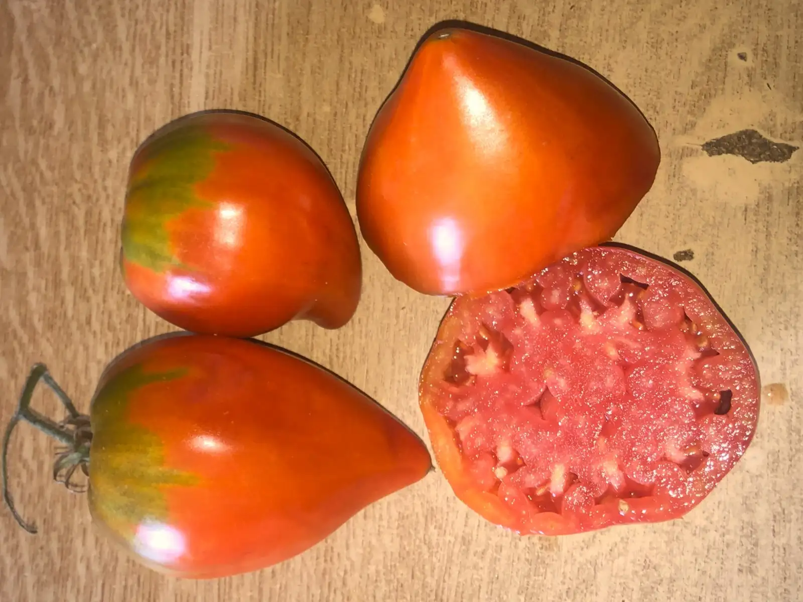 Tomaten: Provenzano