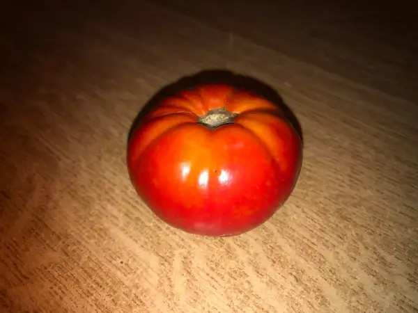 Tomaten: Pruden