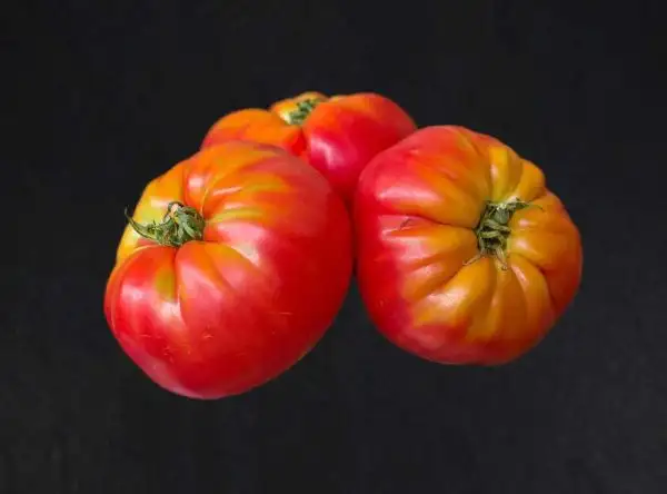 Tomaten: Pruden’s Purple