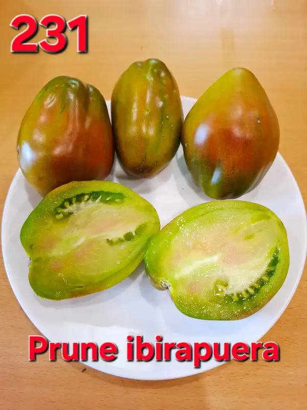 Tomaten: Prune ibirapuera