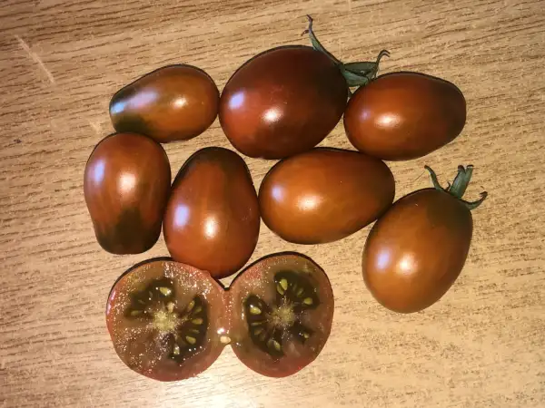 Tomaten: Prune Noire