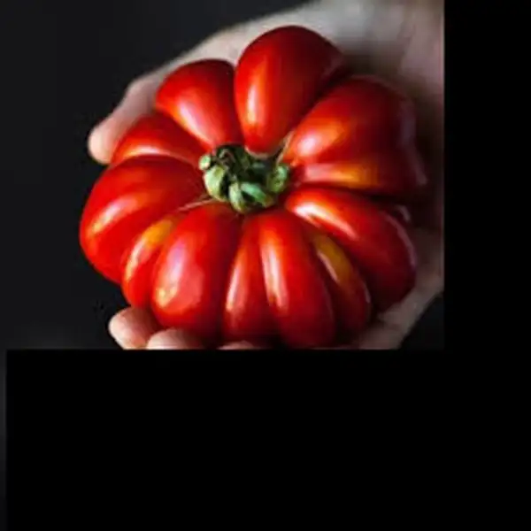 Tomaten: Psomontomata