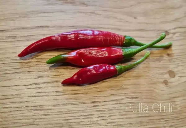 Chili / Paprika: Pulla