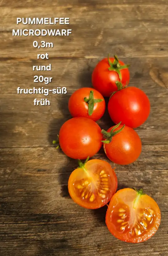 Tomaten: Pummelfee