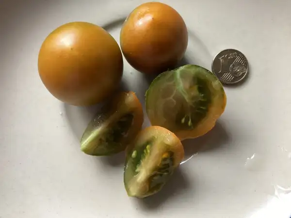 Tomaten: Pumpkin Spice