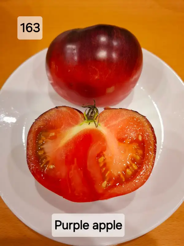 Tomaten: Purple Apple