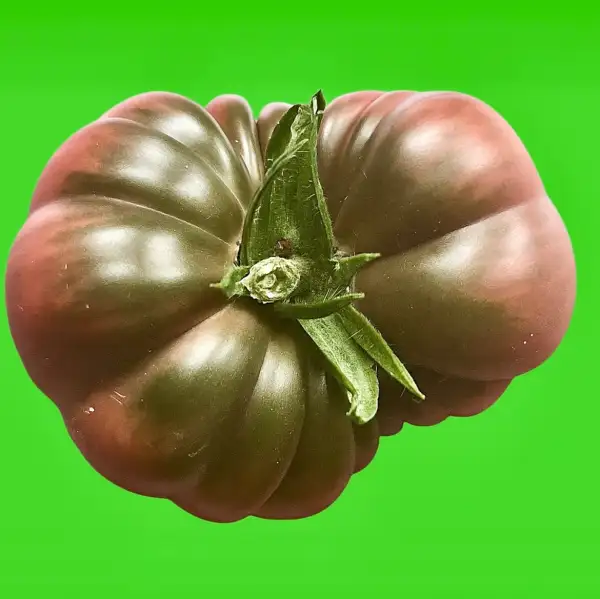 Tomaten: Purple calabash