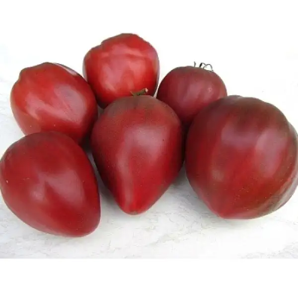 Tomaten: Purple Heart