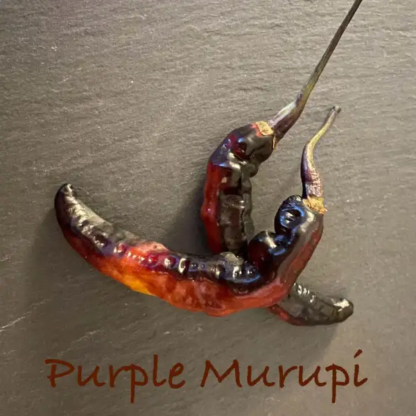 Chili / Paprika: Purple Murupi