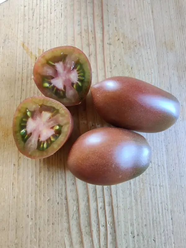 Tomaten: purple Russian