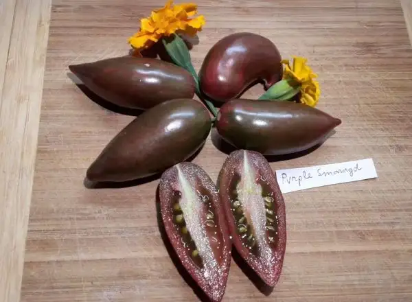 Tomaten: Purple Smaragd