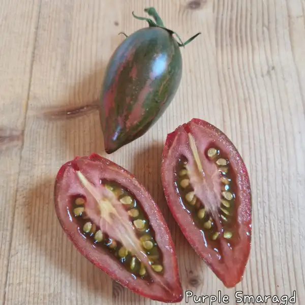 Tomaten: Purple Smaragd