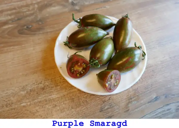 Tomaten: Purple Smaragd