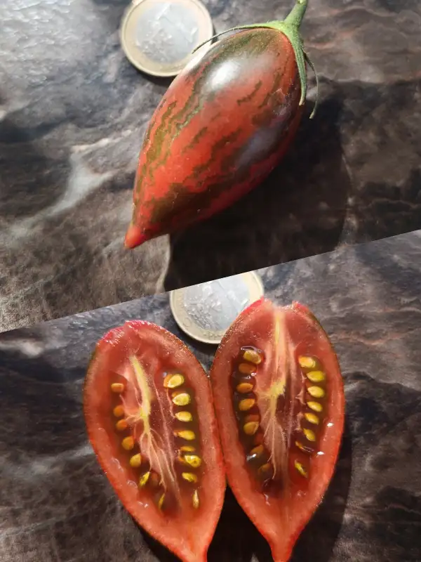Tomaten: Purple Smaragd
