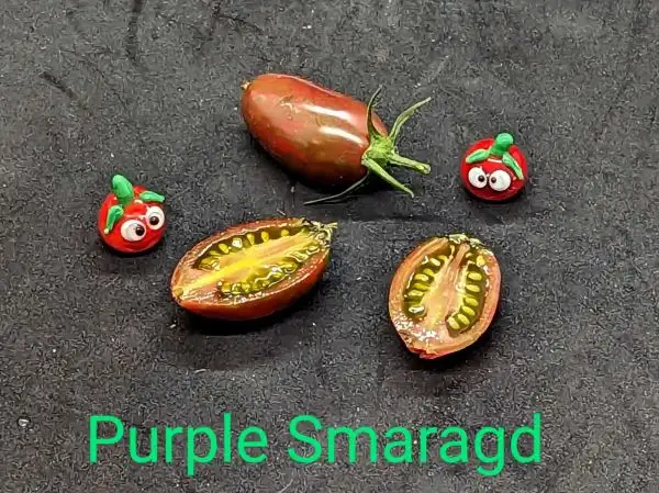 Tomaten: Purple Smaragd