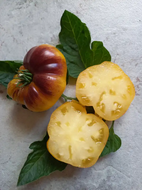 Tomaten: Purple Sunrise
