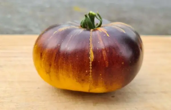 Tomaten: Purple Sunrise