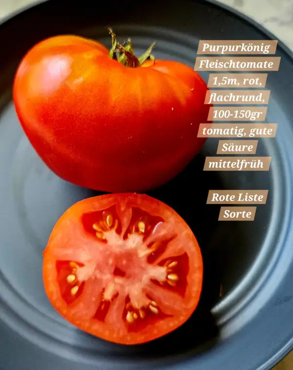 Tomaten: Purpurkönig