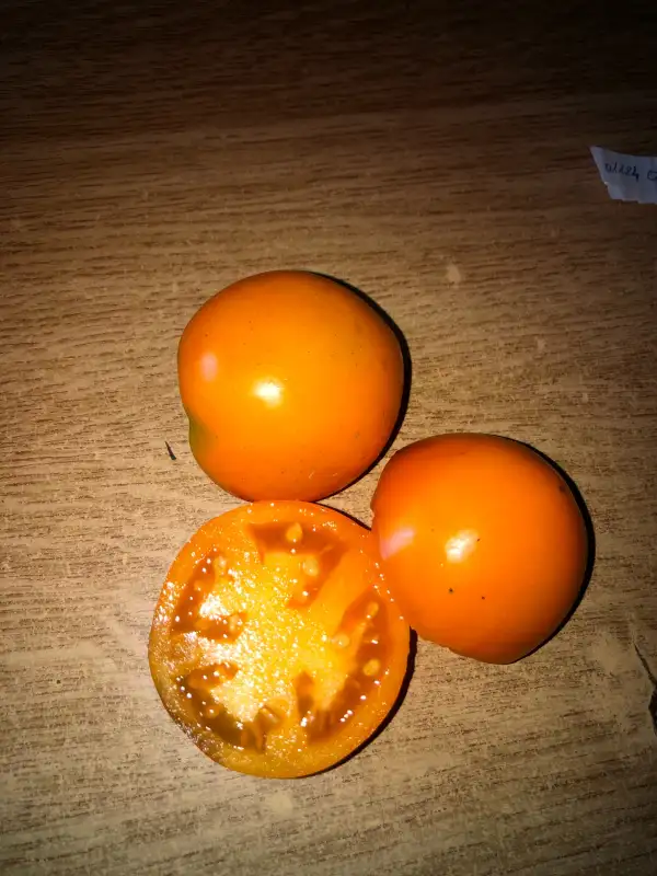 Tomaten: Qiyanaï Huang