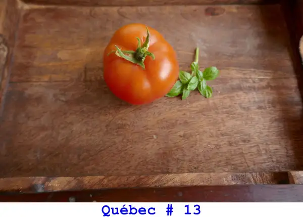 Tomaten: Québec # 13