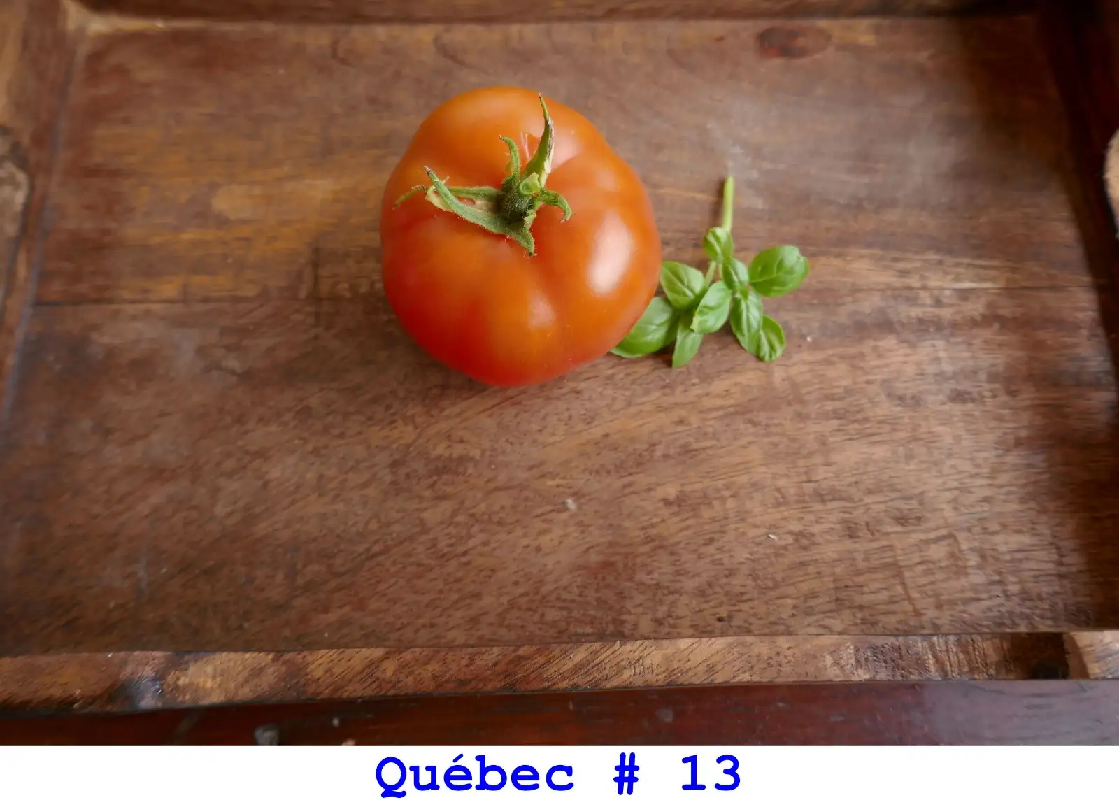 Tomaten: Québec # 13